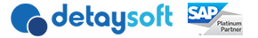 Detaysoft Logo